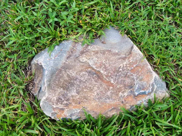 Yeşillik ve taşın doğal dokularını harmanlayan, yemyeşil çimen tarlasına gömülü büyük düz bir taş..