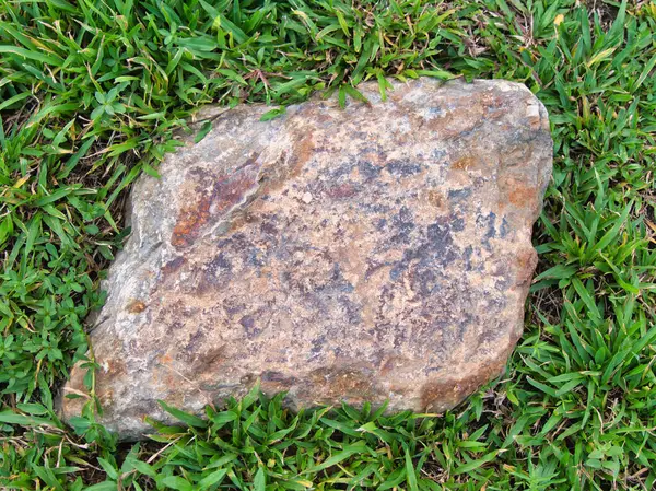 Yeşillik ve taşın doğal dokularını harmanlayan, yemyeşil çimen tarlasına gömülü büyük düz bir taş..