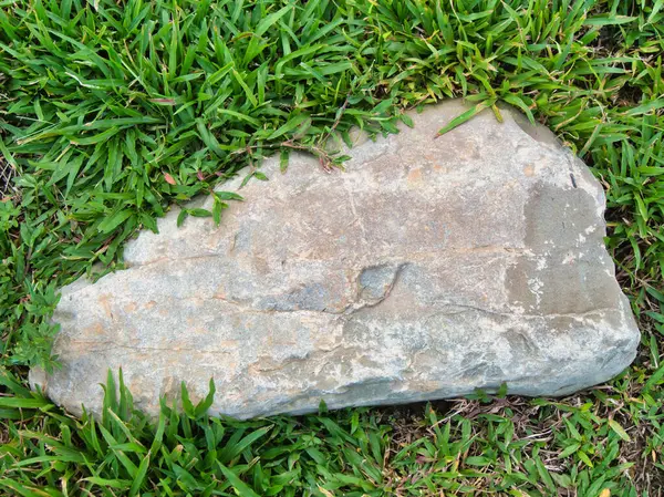 Yeşillik ve taşın doğal dokularını harmanlayan, yemyeşil çimen tarlasına gömülü büyük düz bir taş..