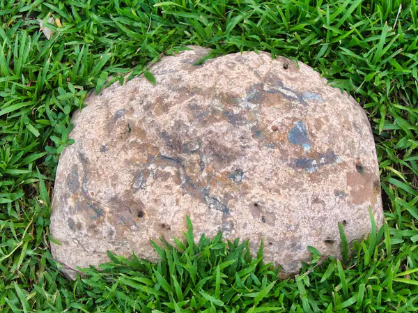 Yeşillik ve taşın doğal dokularını harmanlayan, yemyeşil çimen tarlasına gömülü büyük düz bir taş..