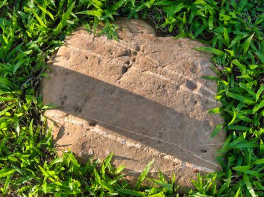 Yeşillik ve taşın doğal dokularını harmanlayan, yemyeşil çimen tarlasına gömülü büyük düz bir taş..