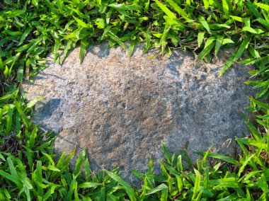 Yeşillik ve taşın doğal dokularını harmanlayan, yemyeşil çimen tarlasına gömülü büyük düz bir taş..