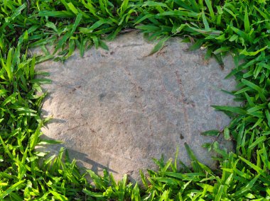 Yeşillik ve taşın doğal dokularını harmanlayan, yemyeşil çimen tarlasına gömülü büyük düz bir taş..