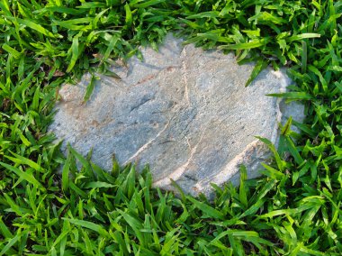 Yeşillik ve taşın doğal dokularını harmanlayan, yemyeşil çimen tarlasına gömülü büyük düz bir taş..