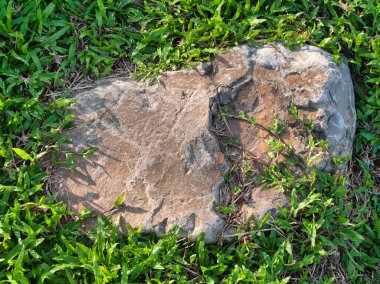 Yeşillik ve taşın doğal dokularını harmanlayan, yemyeşil çimen tarlasına gömülü büyük düz bir taş..