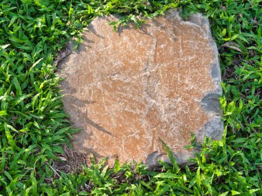 Yeşillik ve taşın doğal dokularını harmanlayan, yemyeşil çimen tarlasına gömülü büyük düz bir taş..