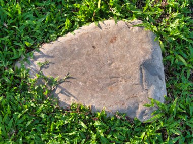 Yeşillik ve taşın doğal dokularını harmanlayan, yemyeşil çimen tarlasına gömülü büyük düz bir taş..