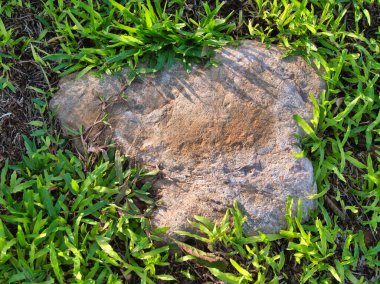 Yeşillik ve taşın doğal dokularını harmanlayan, yemyeşil çimen tarlasına gömülü büyük düz bir taş..