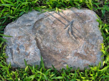 Yeşillik ve taşın doğal dokularını harmanlayan, yemyeşil çimen tarlasına gömülü büyük düz bir taş..