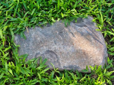 Yeşillik ve taşın doğal dokularını harmanlayan, yemyeşil çimen tarlasına gömülü büyük düz bir taş..