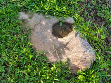 Yeşillik ve taşın doğal dokularını harmanlayan, yemyeşil çimen tarlasına gömülü büyük düz bir taş..