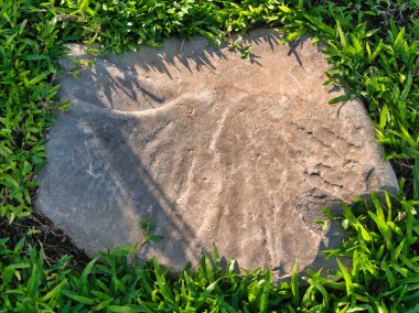 Yeşillik ve taşın doğal dokularını harmanlayan, yemyeşil çimen tarlasına gömülü büyük düz bir taş..