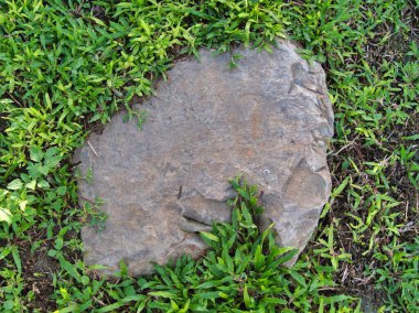 Yeşillik ve taşın doğal dokularını harmanlayan, yemyeşil çimen tarlasına gömülü büyük düz bir taş..