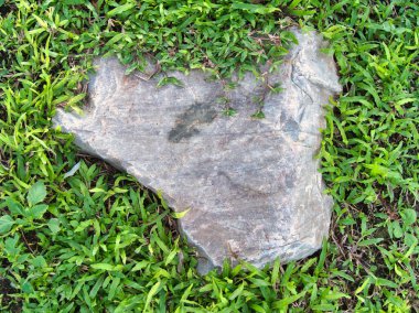 Yeşillik ve taşın doğal dokularını harmanlayan, yemyeşil çimen tarlasına gömülü büyük düz bir taş..