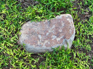 Yeşillik ve taşın doğal dokularını harmanlayan, yemyeşil çimen tarlasına gömülü büyük düz bir taş..