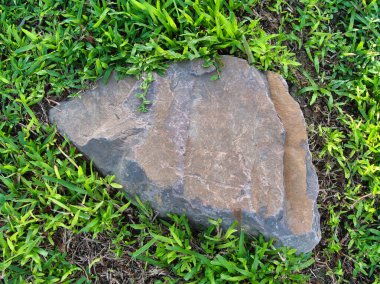 Yeşillik ve taşın doğal dokularını harmanlayan, yemyeşil çimen tarlasına gömülü büyük düz bir taş..