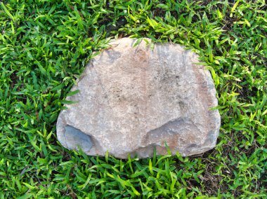 Yeşillik ve taşın doğal dokularını harmanlayan, yemyeşil çimen tarlasına gömülü büyük düz bir taş..