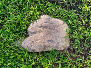 Yeşillik ve taşın doğal dokularını harmanlayan, yemyeşil çimen tarlasına gömülü büyük düz bir taş..