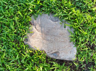 Yeşillik ve taşın doğal dokularını harmanlayan, yemyeşil çimen tarlasına gömülü büyük düz bir taş..