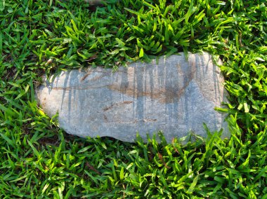 Yeşillik ve taşın doğal dokularını harmanlayan, yemyeşil çimen tarlasına gömülü büyük düz bir taş..