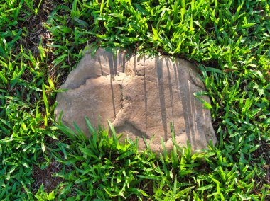 Yeşillik ve taşın doğal dokularını harmanlayan, yemyeşil çimen tarlasına gömülü büyük düz bir taş..