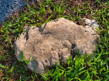 Yeşillik ve taşın doğal dokularını harmanlayan, yemyeşil çimen tarlasına gömülü büyük düz bir taş..