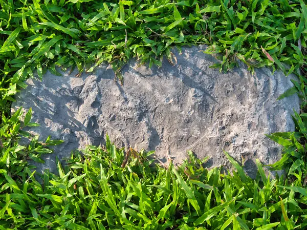 Yeşillik ve taşın doğal dokularını harmanlayan, yemyeşil çimen tarlasına gömülü büyük düz bir taş..