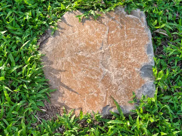 Yeşillik ve taşın doğal dokularını harmanlayan, yemyeşil çimen tarlasına gömülü büyük düz bir taş..
