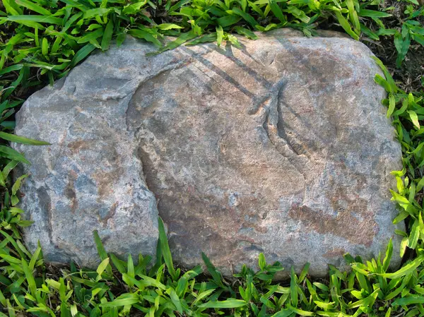 Yeşillik ve taşın doğal dokularını harmanlayan, yemyeşil çimen tarlasına gömülü büyük düz bir taş..