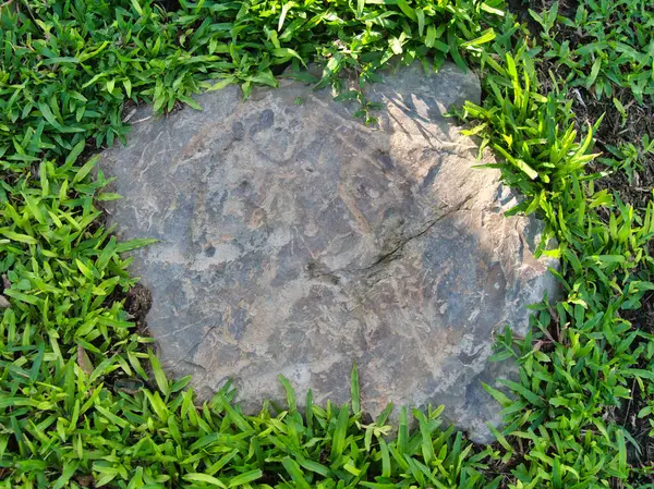 Yeşillik ve taşın doğal dokularını harmanlayan, yemyeşil çimen tarlasına gömülü büyük düz bir taş..