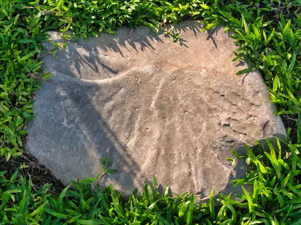 Yeşillik ve taşın doğal dokularını harmanlayan, yemyeşil çimen tarlasına gömülü büyük düz bir taş..