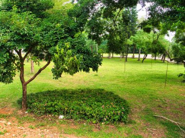Uçsuz bucaksız yeşil park, çeşitli ağaçlar, yemyeşil çimenler ve parlayan, hafif bulutlu gökyüzü altında kıvrılan bir patika..