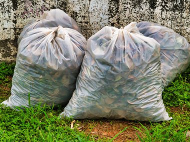 Yapraklarla dolu büyük şeffaf çöp torbaları yıpranmış bir duvarın yanında çimenli zeminde dinleniyor ve dış bakım çabalarını vurguluyor..