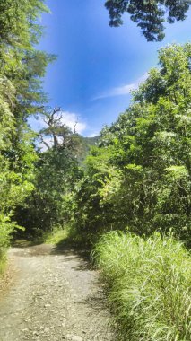 Dağları ve ağaçları olan güzel bir manzara.