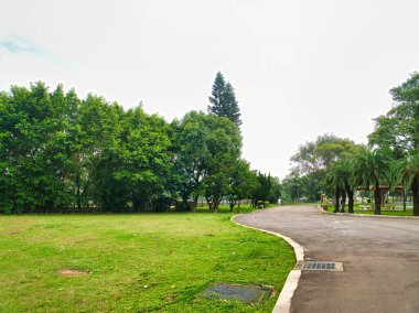 Güzel bahçe ve halka açık park