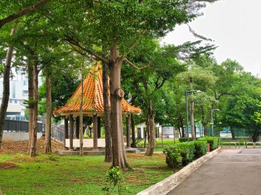 Sabahları parkın manzarası.