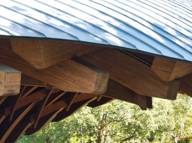 Ormanda ahşap köprü