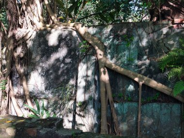 Sabahları parkın güzel manzarası.