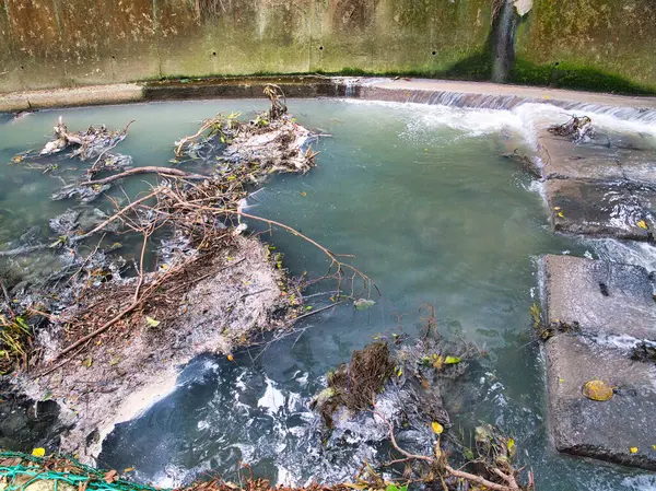 river flowing in forest