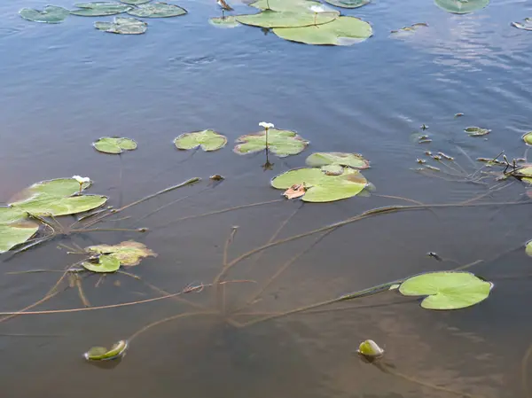 Doğanın güzel manzarası