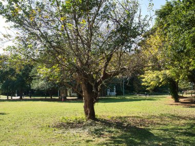 Şehir Parkı.