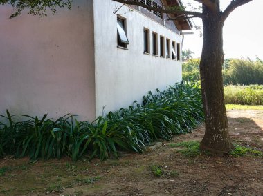 Eski şehrin güzel manzarası.