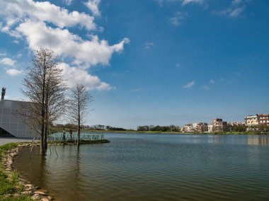 Sabahları parkın manzarası.