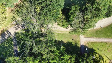 Ormanın havadan görünüşü