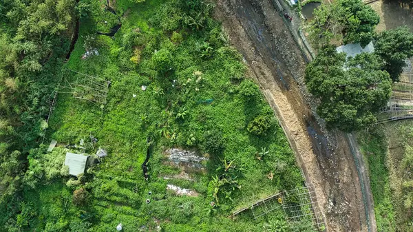 Şehrin havadan görünüşü