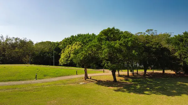 Parkın güzel manzarası