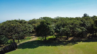 Parkın güzel manzarası