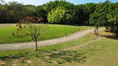 Arka planda bir ağaç olan park.