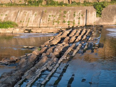 Parktaki bir nehrin taştan duvarı.