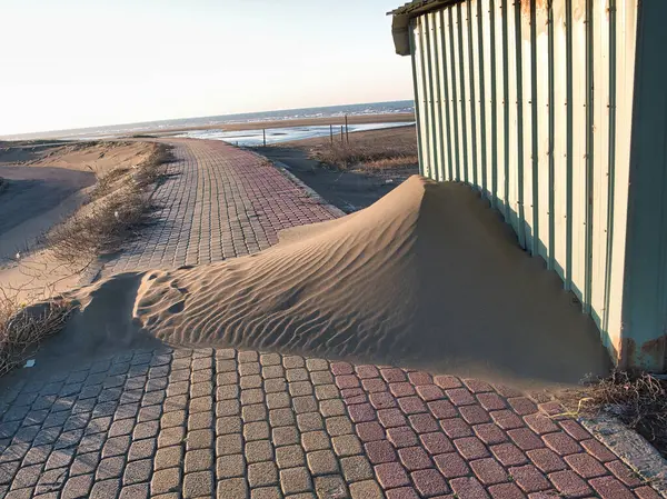 Çöldeki kum tepeleri.